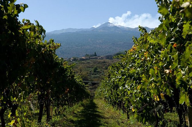 Mt Etna and Wine tasting tour from Catania - The optional summit upgrades: cable car and the “go higher” choice