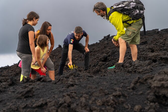 Mt Etna and Wine tasting tour from Catania - Etna Tribe and the guided walk setup: what you do before the big views
