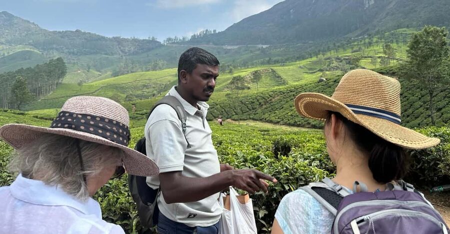 Munnar: Tea trail, Tea Factory, and Tea Tasting Tour - Price and Value: Is $13 a Good Deal in Munnar?