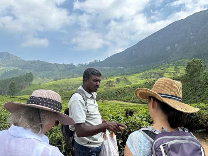 Munnar: Tea trail, Tea Factory, and Tea Tasting Tour - Getting There and Staying Comfortable: What to Plan Before You Go