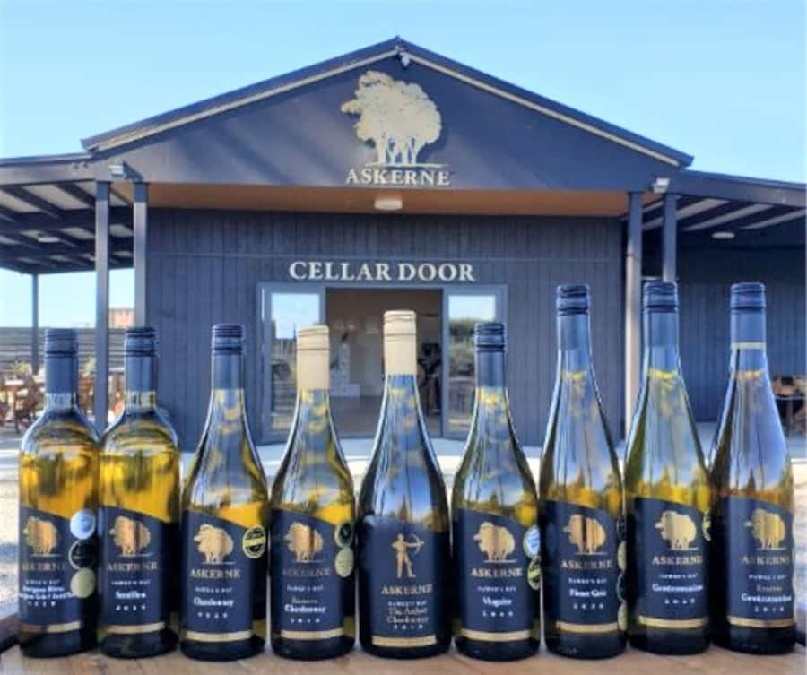 Napier: Afternoon Winery & Gin Tasting Tour Thu Fri Sat - Askerne Estate: seated wine tasting plus a New Zealand cheese board