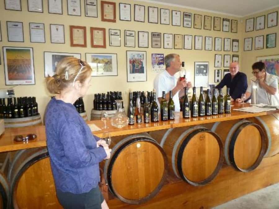 Napier: Afternoon Winery & Gin Tasting Tour Thu Fri Sat - Price and value: is $99 a fair deal for this mix