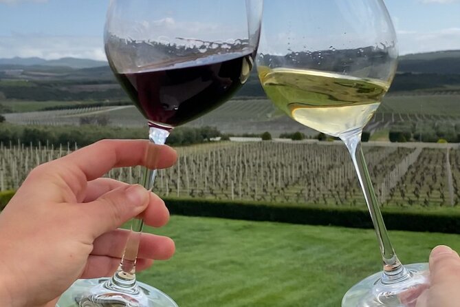 Northern Greece Wine Tasting Tour in Kavala - A 4.5-hour Kavala wine day that stays real