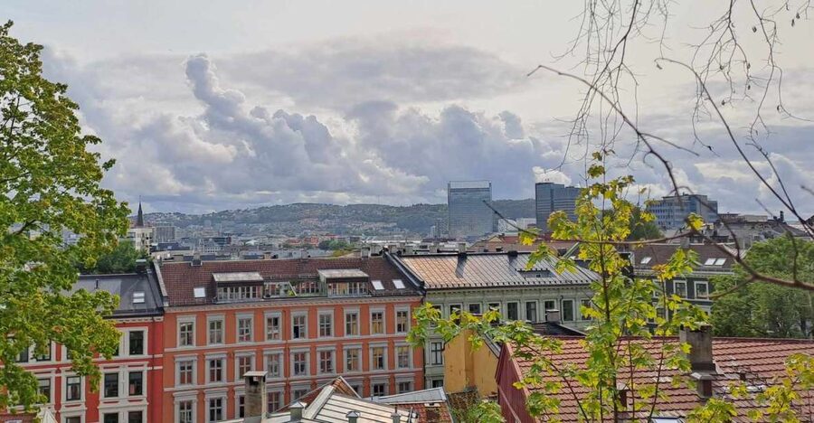 Norwegian Food Tour & Hidden Gems of Oslo - The food stops: fish soup, cheese and trout mains, roast veal, and waffles