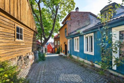 Norwegian Food Tour & Hidden Gems of Oslo - Meeting at the tiger statue and what the first minutes feel like