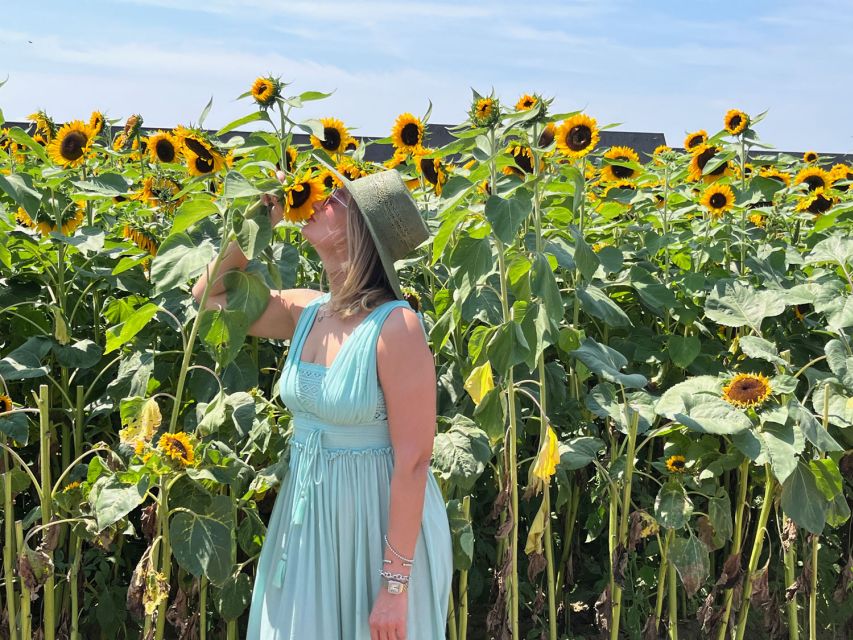 NYC: Long Island Sommelier-Guided Wine Tasting Tour - Discounts and wine buying: how to make purchases without pressure