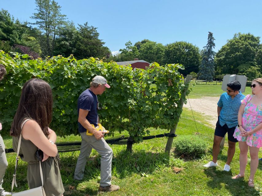 NYC: Long Island Sommelier-Guided Wine Tasting Tour - The 56-seat luxury coach: timing, comfort, and how to use the ride