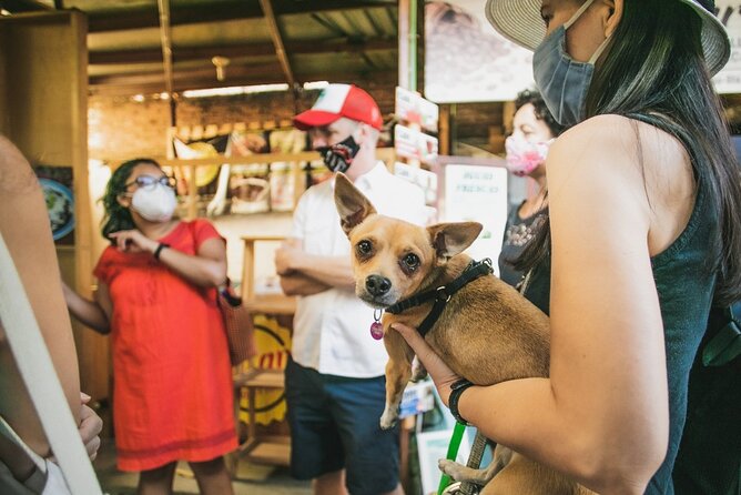 Oaxaca Street Food Tour. Signature Markets Tour - Where This Tour Fits in Oaxaca (and Why It Works)