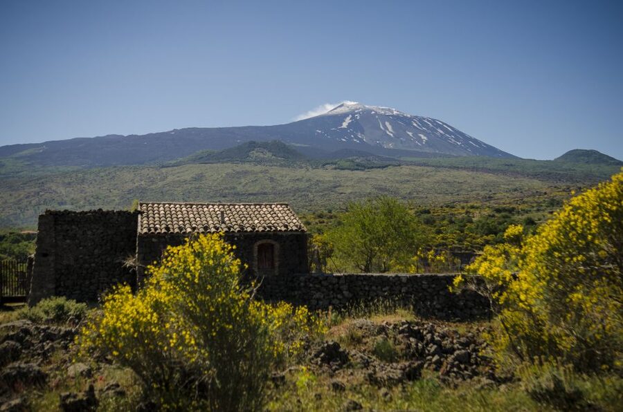 Old Sicily and Etna wine tasting tour from Taormina - Castiglione di Sicilia winery tasting: local pours plus snacks