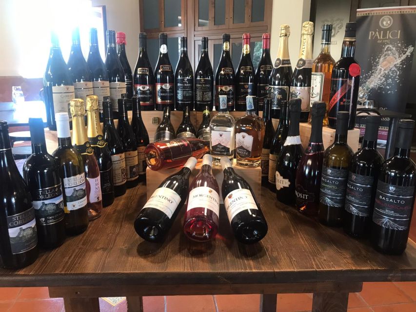 Old Sicily and Etna wine tasting tour from Taormina - Who should book this Etna and Old Sicily tour?