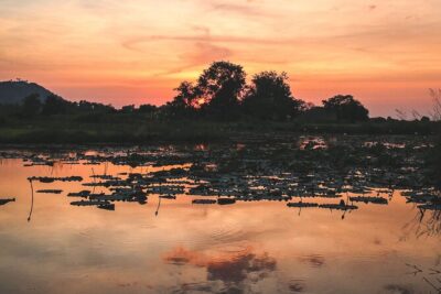 Old Siem Reap Sunset Food Tour by Tuk-Tuk - Price and What You’re Really Paying For
