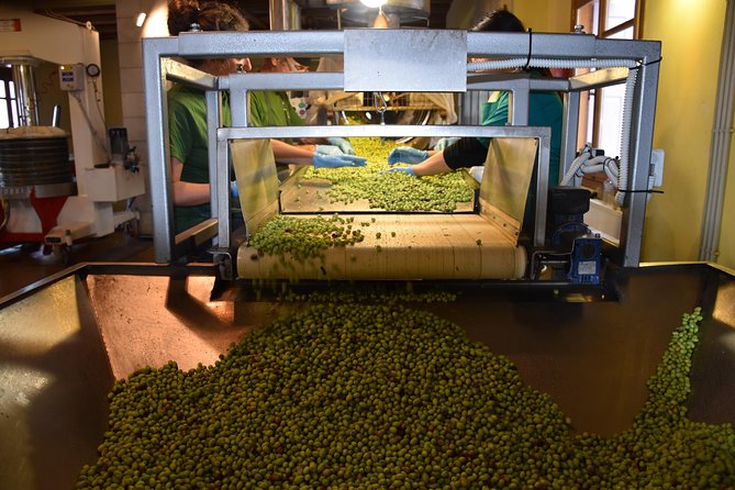Olive Oil Tasting Tour - Why This Olive Oil Tasting Works in Crete