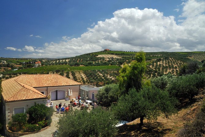 Olive Oil Tasting Tour - First Cold Pressed Method: Machines, Not Mysteries
