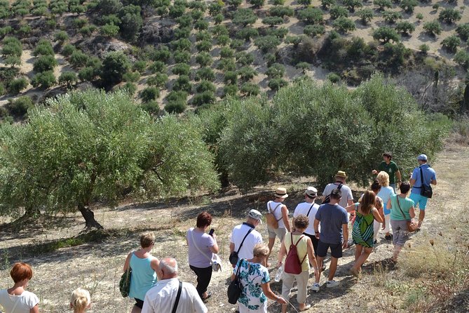 Olive Oil Tasting Tour - The Tasting Flight: EVOO, Flavored Oils, Sweet Vinegar, and Petimezi