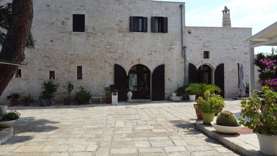 Ostuni: Olive Oil Tasting Tour - How the guide helps you taste three organic oils