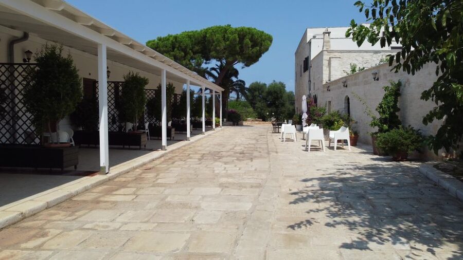 Ostuni: Olive Oil Tasting Tour - Duration and pace: what this 1-hour tour is really like