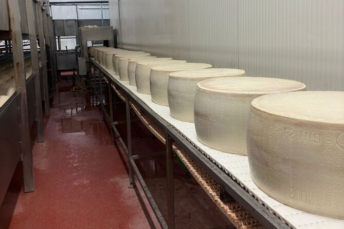Parmesan and Balsamic Food Tour with Ferrari Museum - Parmigiano Reggiano cow-to-wheel: farm tour and tastings