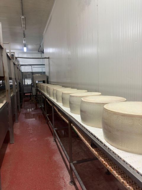 Parmesan and Balsamic Food Tour with Ferrari Museum - The extra countryside food stop and pacing