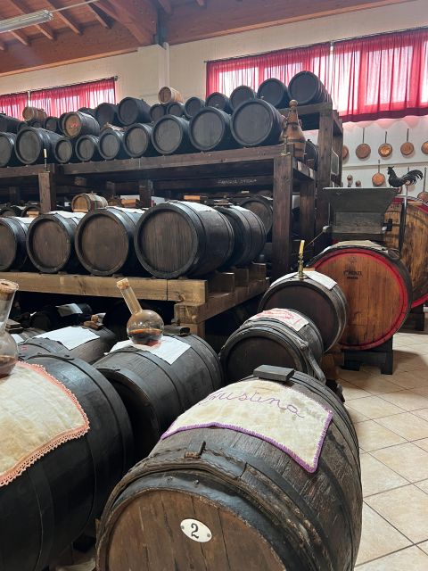 Parmesan and Balsamic Food Tour with Ferrari Museum - Practical tips so the day doesn’t trip you up