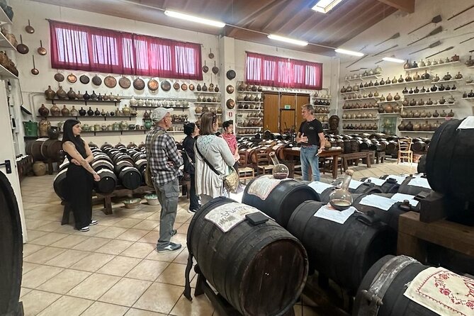 Parmesan and Balsamic Food Tour with Ferrari Museum - Bologna pickup and shared van comfort (what to expect)