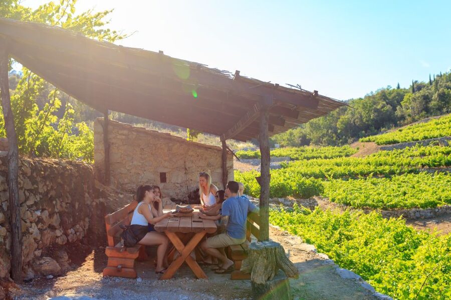 Pelješac Full-Day Wine and Food Tour from Dubrovnik - The Morning Oyster Session: Sea-to-Table Tastes Like a Story