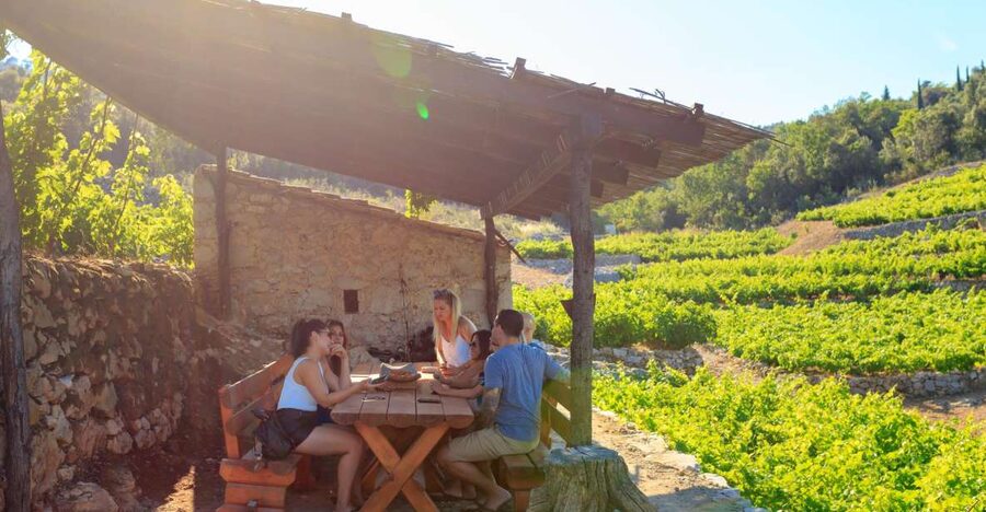 Pelješac Full-Day Wine and Food Tour from Dubrovnik - Ston’s Walls and Salt Works: A Quick Lesson That Doesn’t Feel Like One