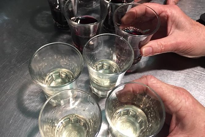 Pescara Food Tour - The guide experience: what “Anna” adds to the food