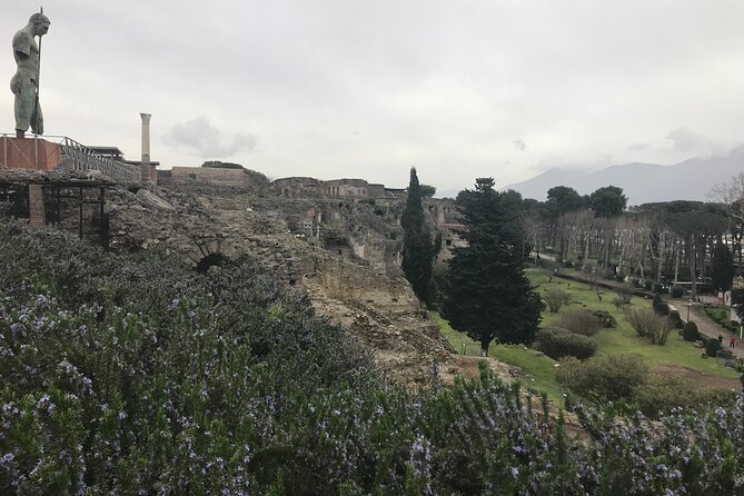 Pompeii Wine Tasting Tour from Positano - Pompeii and Vesuvius Wine in One 8-hour Plan