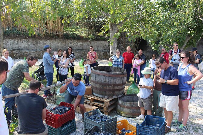 Pompeii Wine Tasting Tour from Positano - The Pompeii tour: what you should expect to learn and see