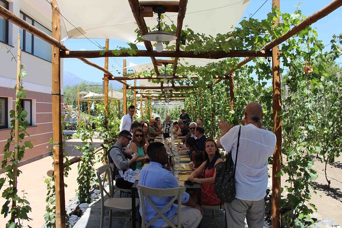 Pompeii Wine Tasting Tour from Positano - Bosco de Medici winery: tasting lunch with Mt. Vesuvius in view
