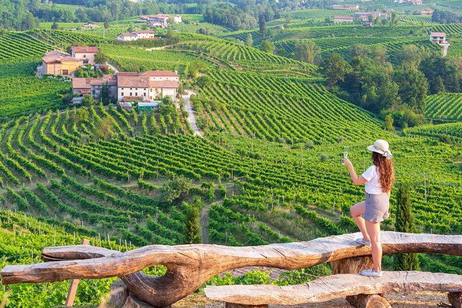 Premium Prosecco Hills Winery Tour with Prosecco Tastings & Food - Key things that make this Prosecco hills tour worth your time