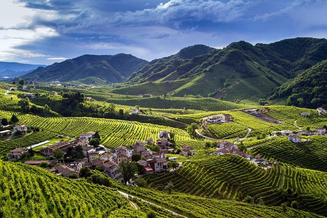 Premium Prosecco Hills Winery Tour with Prosecco Tastings & Food - Prosecco Hills: the UNESCO drive that actually sets the mood