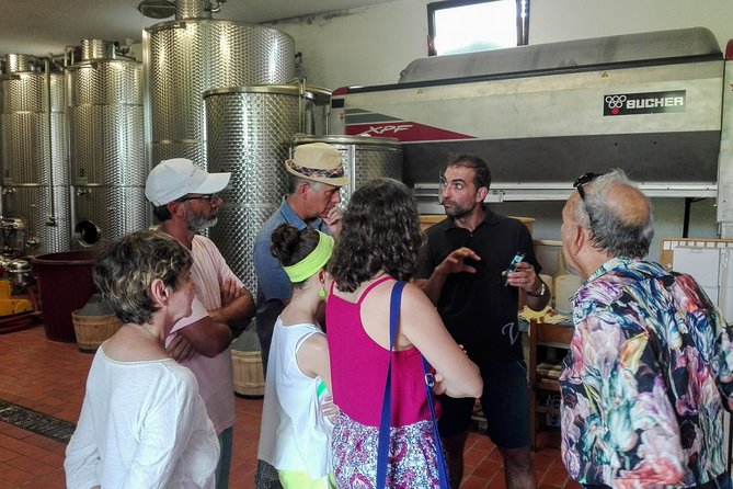Premium Prosecco Hills Winery Tour with Prosecco Tastings & Food - What you’re really tasting: Prosecco DOCG and the no-added-sulfites claim
