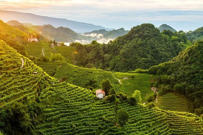 Premium Prosecco Hills Winery Tour with Prosecco Tastings & Food - Small-group pricing: does $247.39 feel fair?