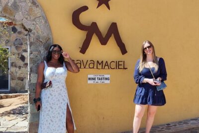Premium Valle de Guadalupe Wine and Food Tour - Three Boutique Wineries and 10–12 Tastings: How the Pacing Works