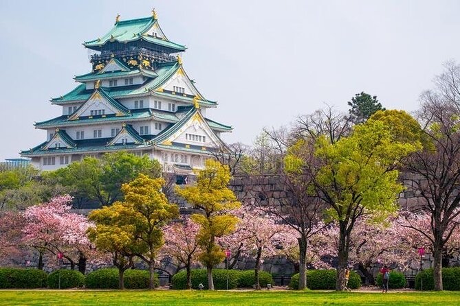 PRIVATE 6hr, Food tour from Osaka Castle, Kuromon, Dotonbori. - Quick hits before you go