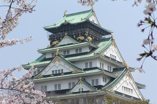 PRIVATE 6hr, Food tour from Osaka Castle, Kuromon, Dotonbori. - Guides make this tour feel personal, not scripted