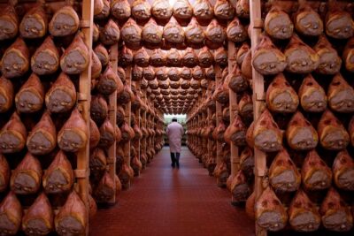 Private Emilia Romagna Food Tour Full Day - Meeting Time and Pickup Options: Choose Your Comfort Level