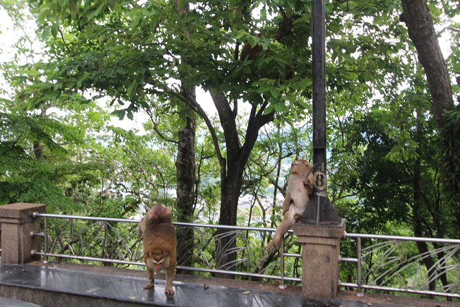 Private food Tour + Sightseeing +Thai Cooking class - How the day usually flows (and where you might feel time pressure)