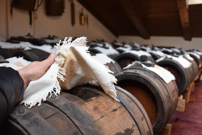 Private Full Day Parma Food Tour: Parmesan Cheese, Parma Ham, Lunch, Vinegar - Who Should Book This Parma Food Tour