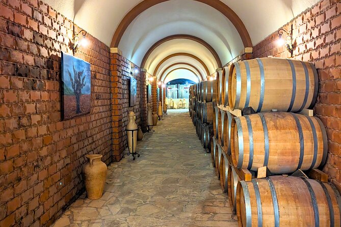 Private Full Day Peljesac Wine Tasting Tour from Dubrovnik - Practical Tips That Save Your Day