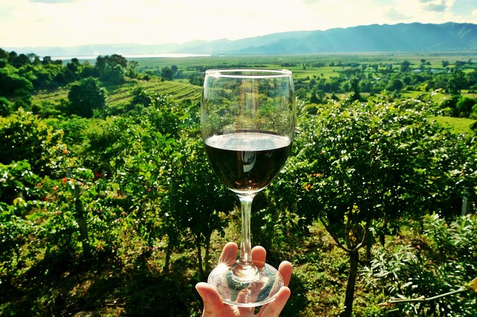 Private Half Day Wine Tasting tour: Road Of The Doges - Venice to the Veneto: the road trip that actually matters