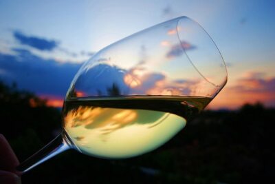 Private Half Day Wine Tasting tour: Road Of The Doges - Barrel rooms and cellar time: seeing what aging really means