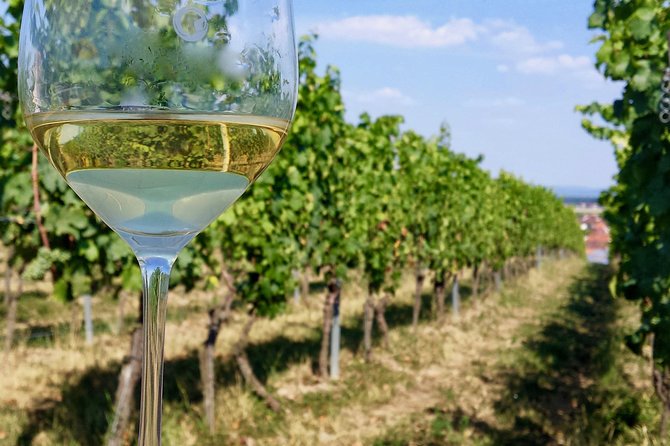 Private Half Day Wine Tasting tour: Road Of The Doges - Appetizers with the wine: bread, cheese, and the Veneto rhythm