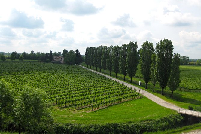 Private Half Day Wine Tasting tour: Road Of The Doges - Timing and the 4-hour reality check
