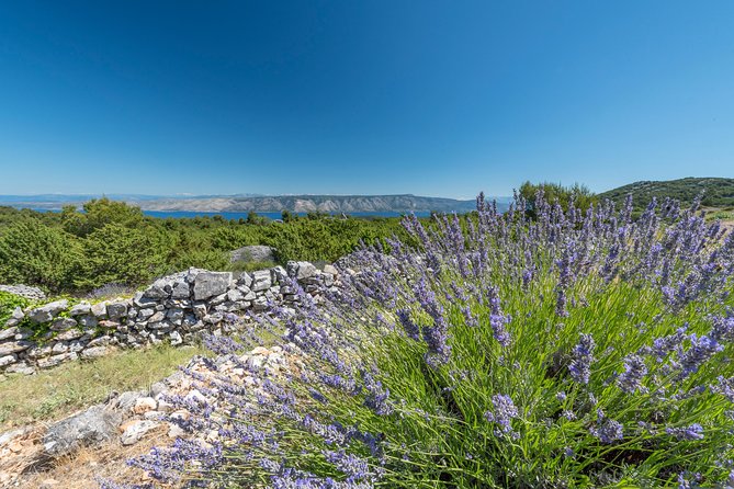 Private Hvar Wine Tasting Tour - Pickup, Air-Conditioning, and Private-Group Comfort