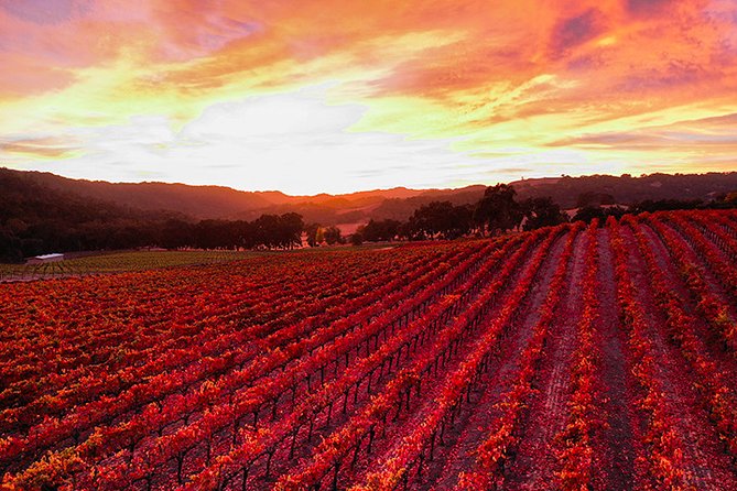 Private or Semi-Private Wine Tasting Tour from Paso Robles - Who should book this, and who might not need it