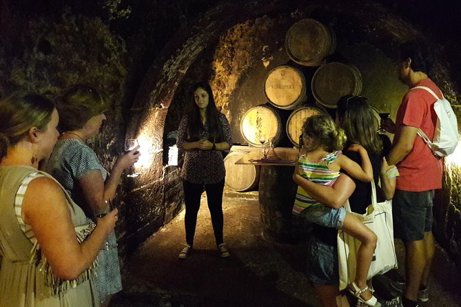 Private Rioja wine tasting tour with local lunch - Stop 1: La Rioja With Two Wineries, Wine Culture, and Lunch