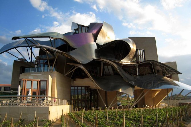 Private Rioja wine tasting tour with local lunch - Guides Who Explain, Not Just Chauffeur