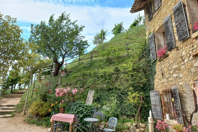 Prosecco Hills Day Trip from Venice & Treviso: 2 Wineries - Key highlights worth circling